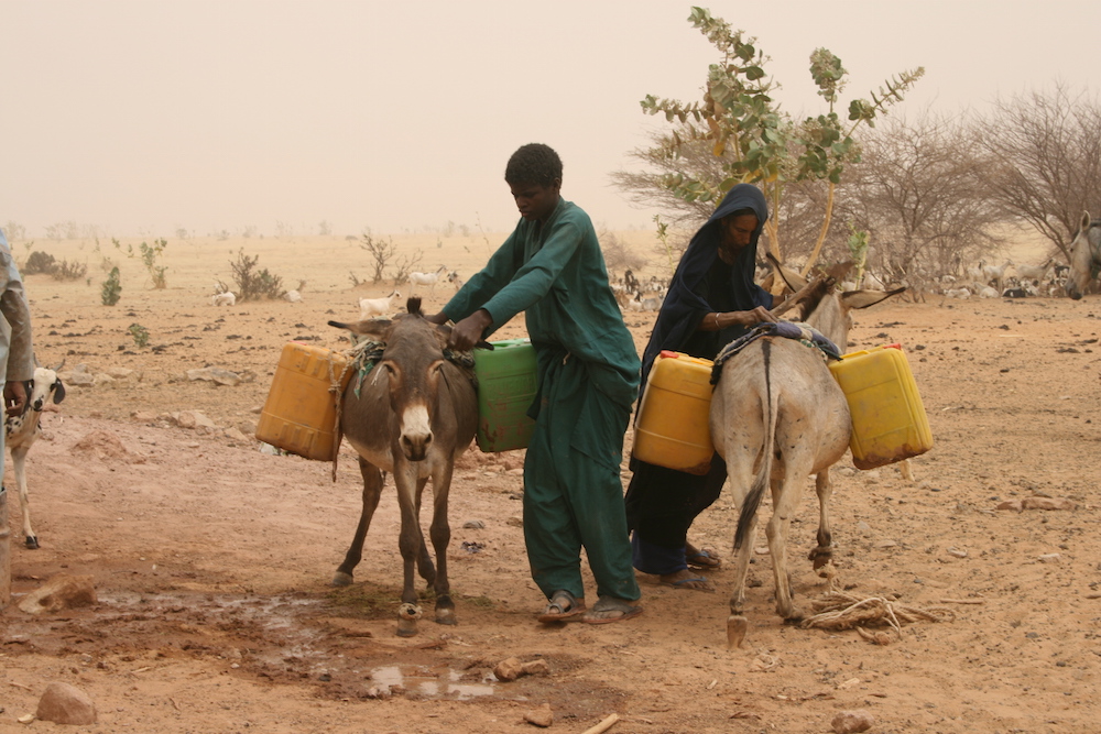 Photo 2 from Amman Imman:  Water is Life